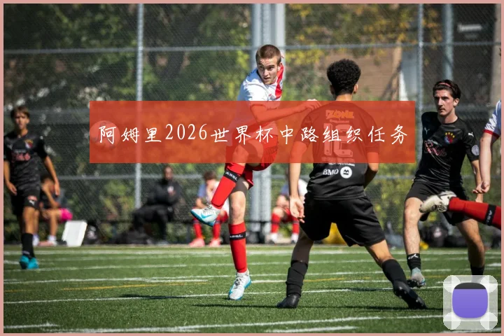 阿姆里2026世界杯中路组织任务