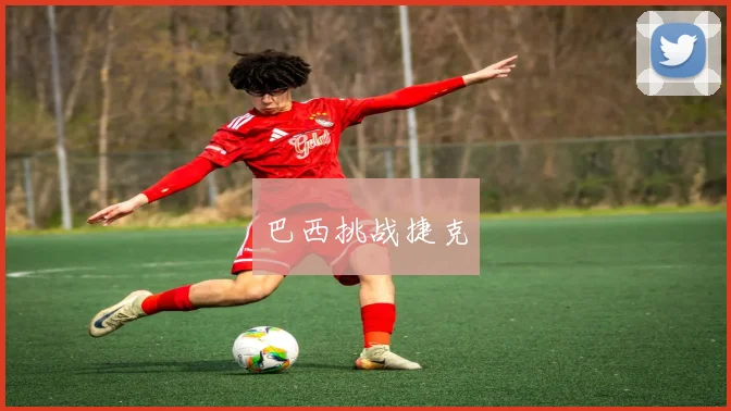 巴西挑战捷克