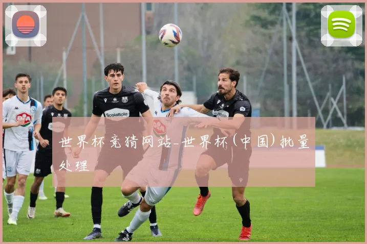 世界杯竞猜网站_世界杯(中国)批量处理