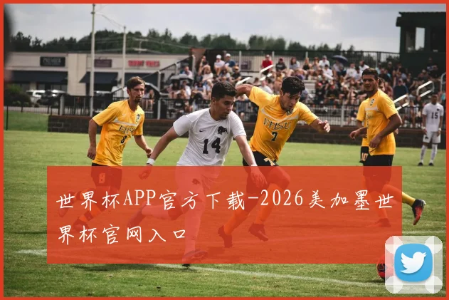 世界杯APP官方下载-2026美加墨世界杯官网入口