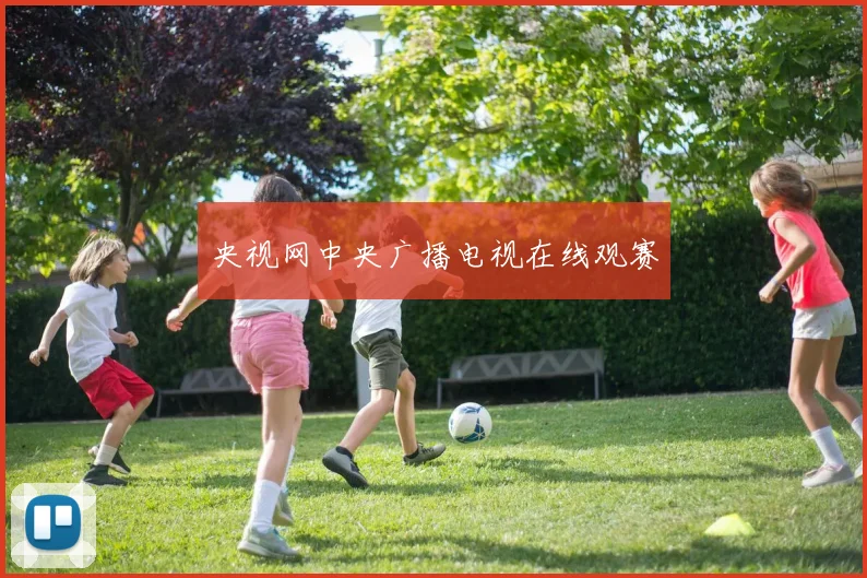 央视网中央广播电视在线观赛