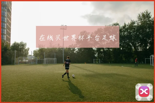 在线买世界杯平台足球