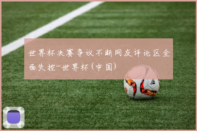 世界杯决赛争议不断网友评论区全面失控-世界杯(中国)
