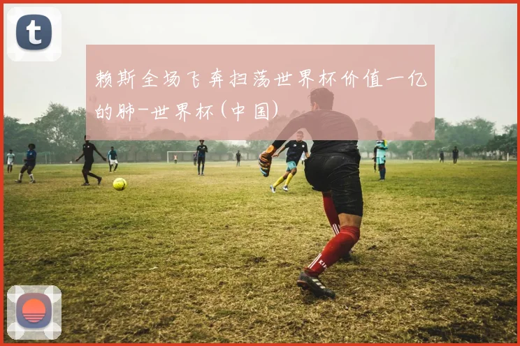 赖斯全场飞奔扫荡世界杯价值一亿的肺-世界杯(中国)