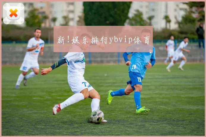 新!娱乐排行ybvip体育