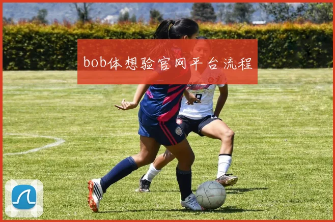 bob体想验官网平台流程