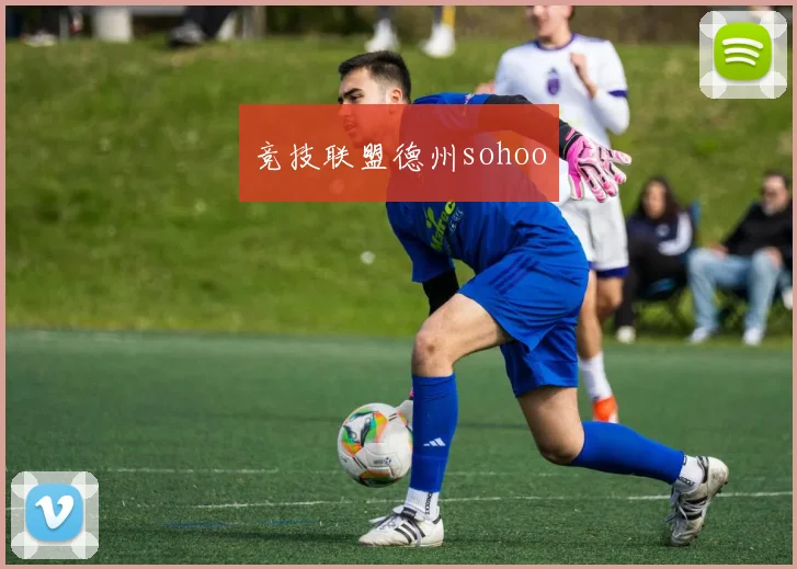 竞技联盟德州sohoo