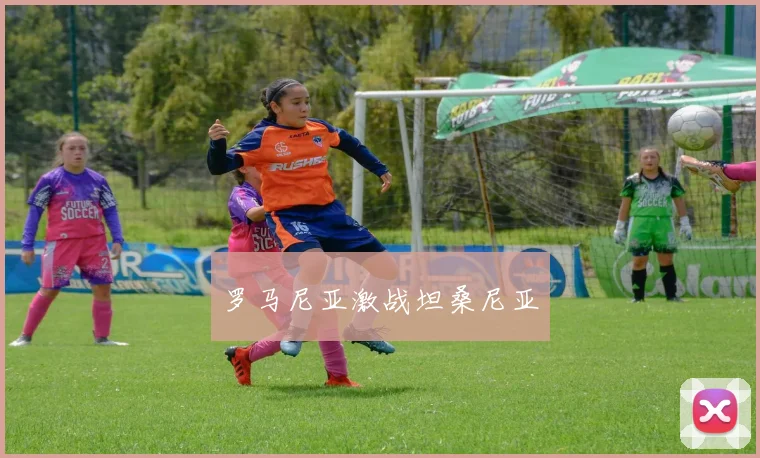 罗马尼亚激战坦桑尼亚