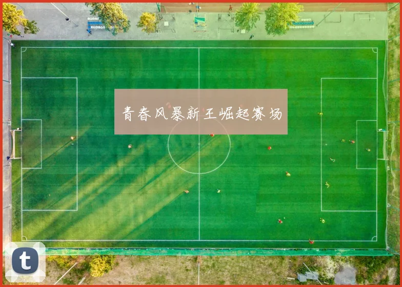青春风暴新王崛起赛场