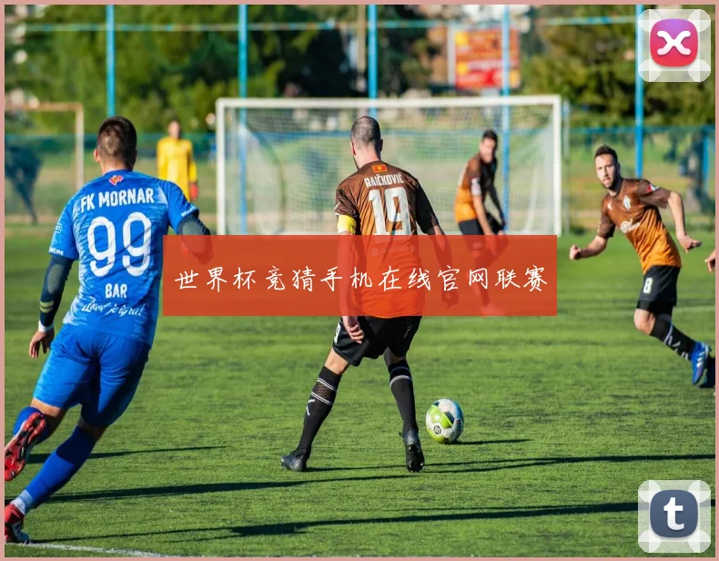 世界杯竞猜手机在线官网联赛