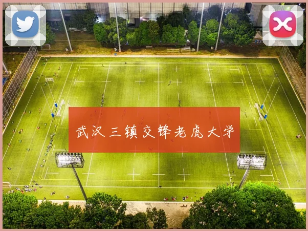 武汉三镇交锋老虎大学