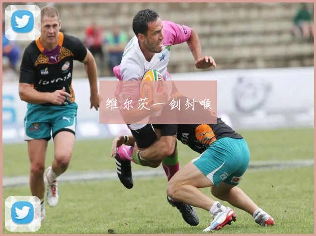 维尔茨一剑封喉