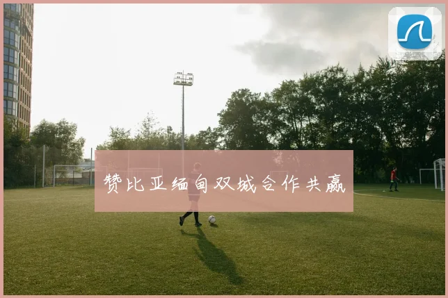 赞比亚缅甸双城合作共赢