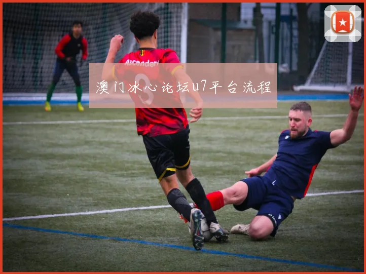 澳门冰心论坛u7平台流程