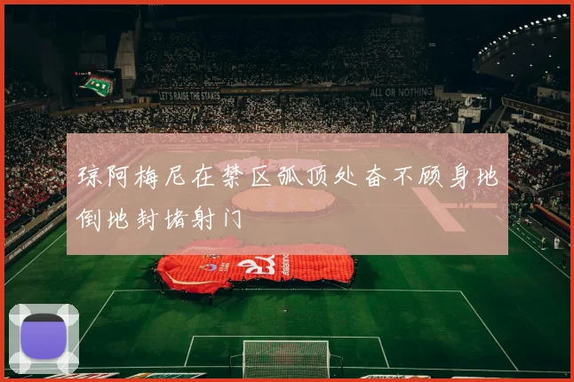 琼阿梅尼在禁区弧顶处奋不顾身地倒地封堵射门