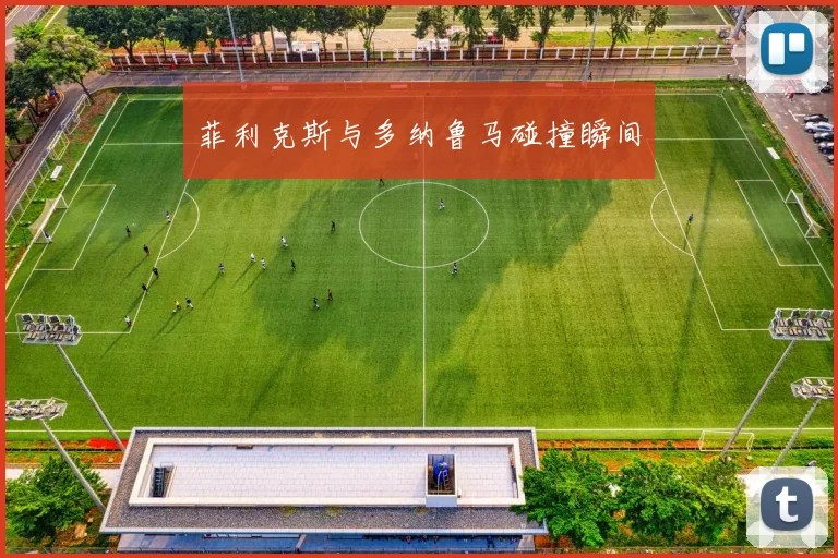菲利克斯与多纳鲁马碰撞瞬间