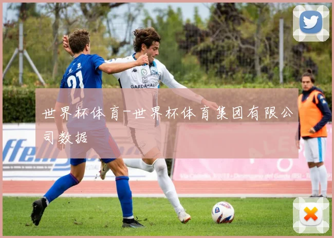 世界杯体育-世界杯体育集团有限公司数据