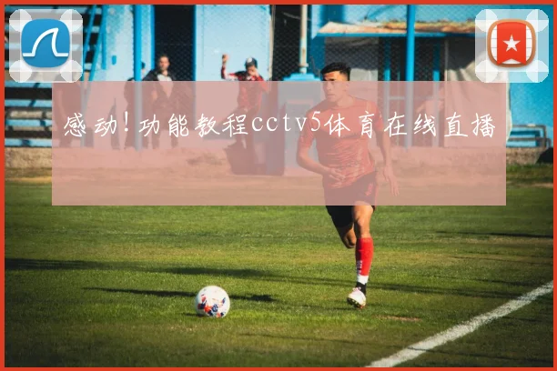 感动!功能教程cctv5体育在线直播