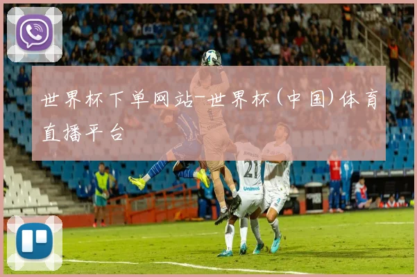 世界杯下单网站-世界杯(中国)体育直播平台