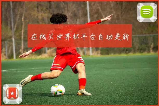在线买世界杯平台自动更新