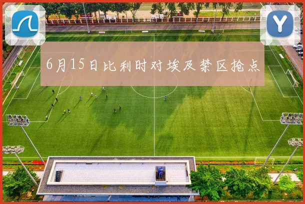 6月15日比利时对埃及禁区抢点