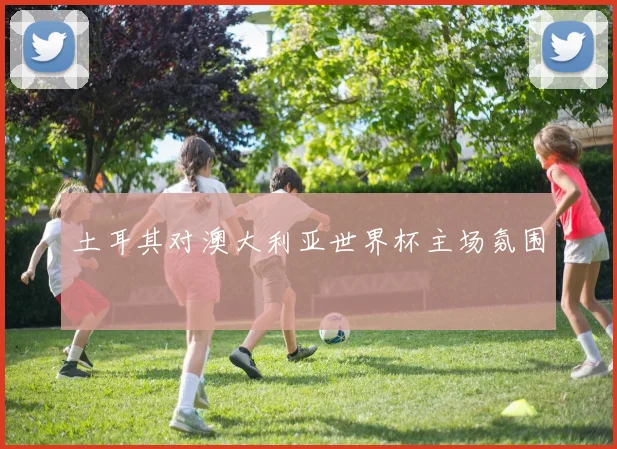 土耳其对澳大利亚世界杯主场氛围