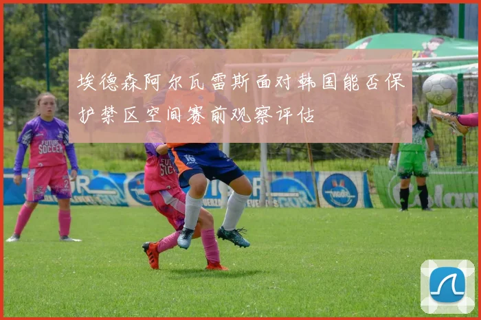 埃德森阿尔瓦雷斯面对韩国能否保护禁区空间赛前观察评估