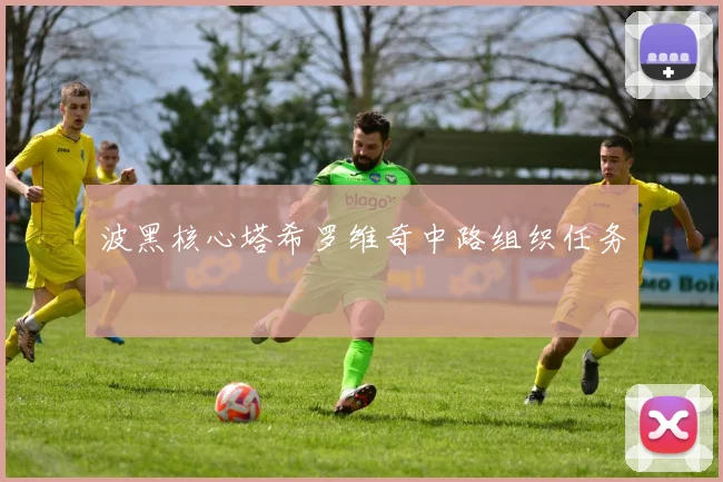 波黑核心塔希罗维奇中路组织任务