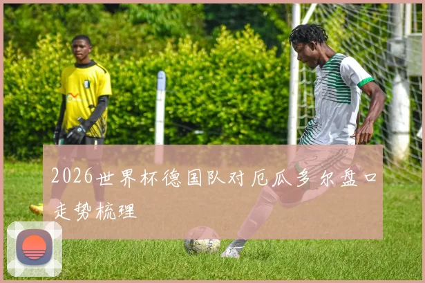 2026世界杯德国队对厄瓜多尔盘口走势梳理